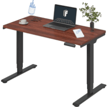 FLEXISPOT E6 Standing Desk