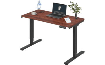FLEXISPOT E6 Standing Desk