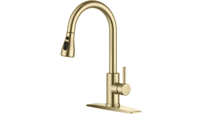 FORIOUS Gold Kitchen Faucet