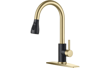 FORIOUS Kitchen Faucet with Sprayer
