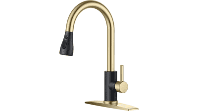 FORIOUS Kitchen Faucet with Sprayer