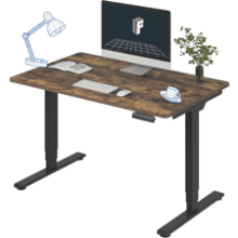 FlexiSpot Electric Standing Desk
