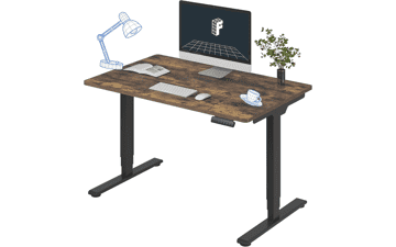 FlexiSpot Electric Standing Desk
