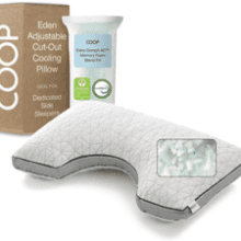 Coop Home Goods Eden Bed Pillow