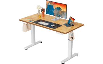 ErGear Electric Standing Desk