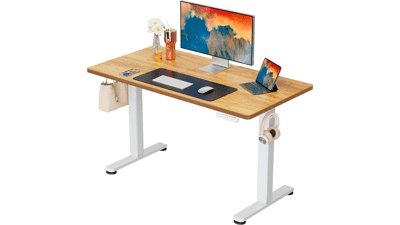 ErGear Electric Standing Desk