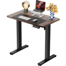 ErGear Electric Standing Desk