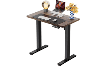 ErGear Electric Standing Desk