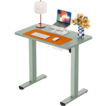 ErGear Electric Standing Desk