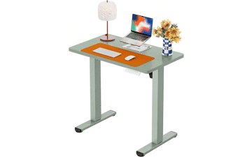 ErGear Electric Standing Desk
