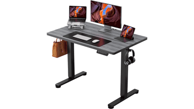 ErGear Electric Standing Desk