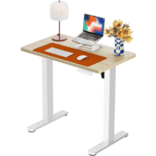 ErGear Electric Standing Desk