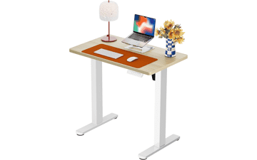 ErGear Electric Standing Desk