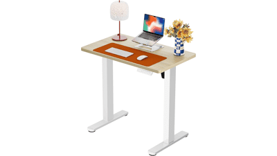 ErGear Electric Standing Desk