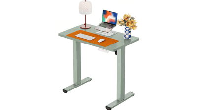ErGear Electric Standing Desk