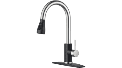 FORIOUS Kitchen Faucet with Sprayer