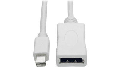 Mini DisplayPort to DisplayPort Adapter