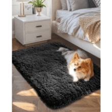 Ophanie Small Fluffy Area Rug