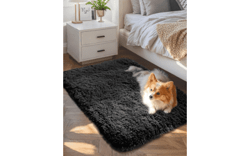 Ophanie Small Fluffy Area Rug