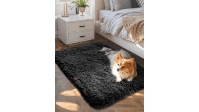 Ophanie Small Fluffy Area Rug