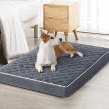 WNPETHOME Orthopedic Dog Bed