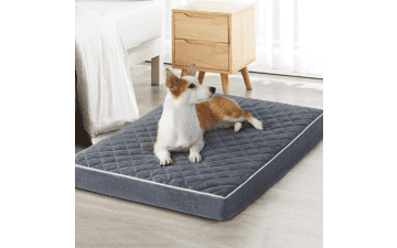 WNPETHOME Orthopedic Dog Bed