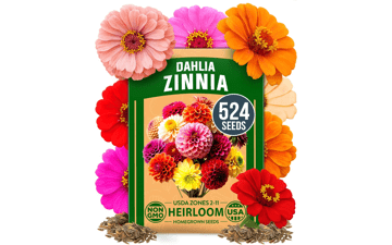 Zinnia Dahlia Seeds Pack