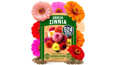 Zinnia Dahlia Seeds Pack
