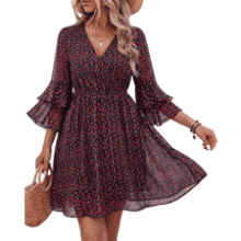 Bebonnie Women’s Ruffle Sleeve Chiffon Dress