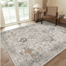 Bavni 5x7 Washable Area Rug