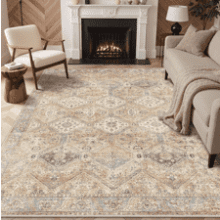 Bavni 8x10 Washable Area Rug