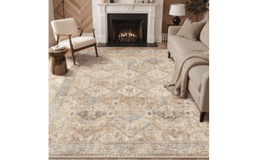 Bavni 8x10 Washable Area Rug