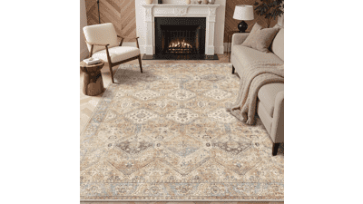 Bavni 8x10 Washable Area Rug