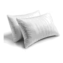 Hotel Grand White Feather Down King Pillows