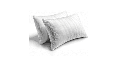 Hotel Grand White Feather Down King Pillows