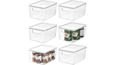 IDesign 6-Pack Pantry Storage Bin