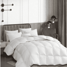Martha Stewart Down Alternative Comforter
