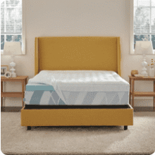 Sealy Dreamlife Gel Memory Foam Twin Mattress Topper