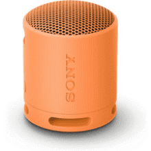 Sony SRS-XB100 Wireless Speaker