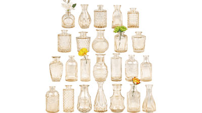 TBWIND Glass Bud Vase Set 24