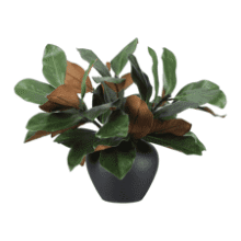 Thiccywoov 6-Piece Magnolia Artificial Leaves
