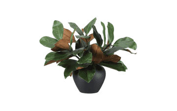Thiccywoov 6-Piece Magnolia Artificial Leaves
