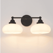Vintage 2-Light Wall Sconce