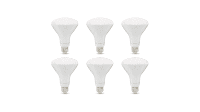 Amazon Basics 6-Pack BR30 LED Bulbs