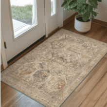 Bavni 2x3 Entryway Rug – Washable Vintage Chenille Carpet