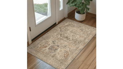 Bavni 2x3 Entryway Rug – Washable Vintage Chenille Carpet