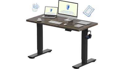 FLEXISPOT EN1 Electric Standing Desk