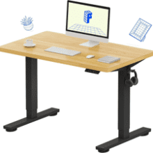 FLEXISPOT EN1 Electric Standing Desk
