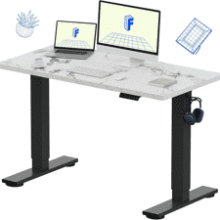 FLEXISPOT EN1 Electric Standing Desk