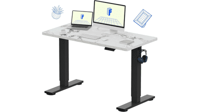 FLEXISPOT EN1 Electric Standing Desk